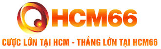 hcm663.com